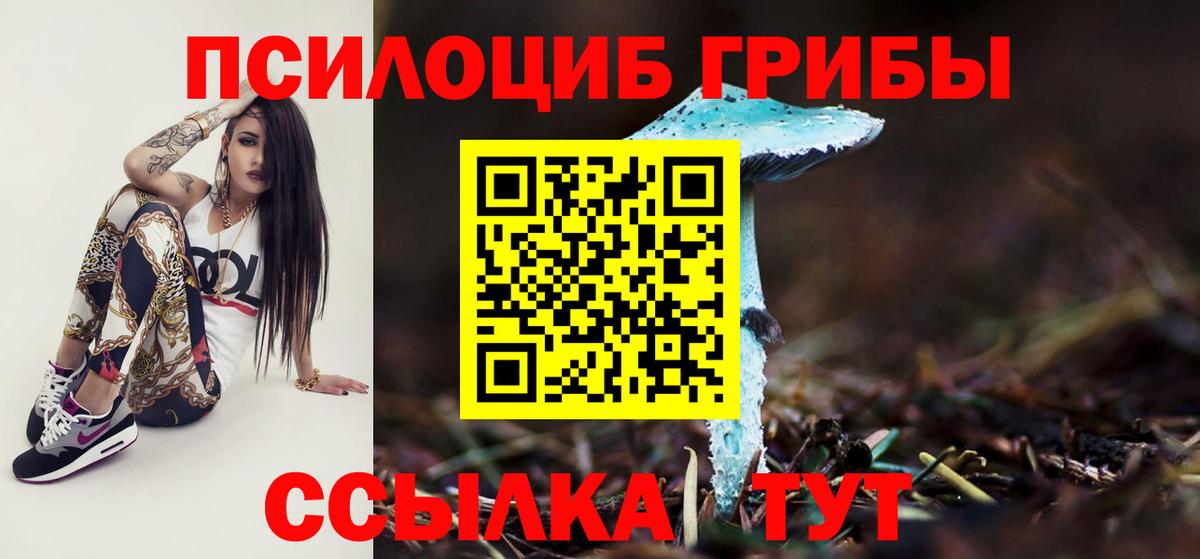 Тавда  Галлюциногенные грибы ЛСД  Вход с VPN 